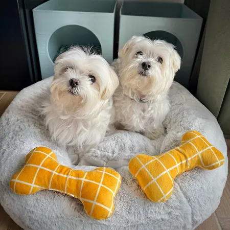 Alamos Boutique Hotel