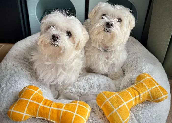 Alamos Boutique Hotel